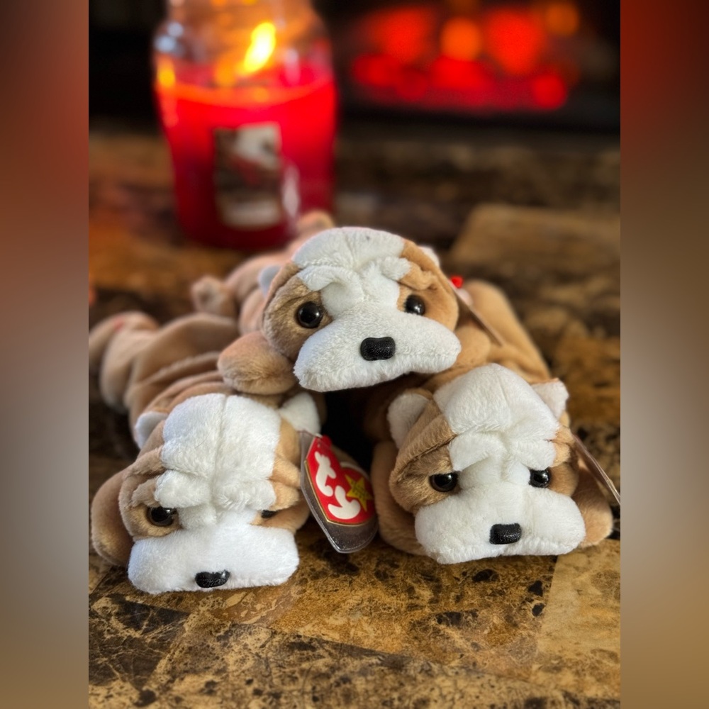 🐕 TY Beanie Baby Wrinkles Dog Trio 1996